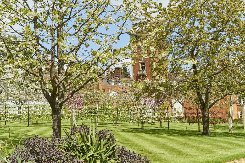 Tylney Hall * Hook (Hampshire)